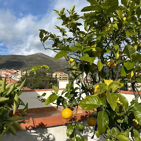 Apartment Terrazza Blu